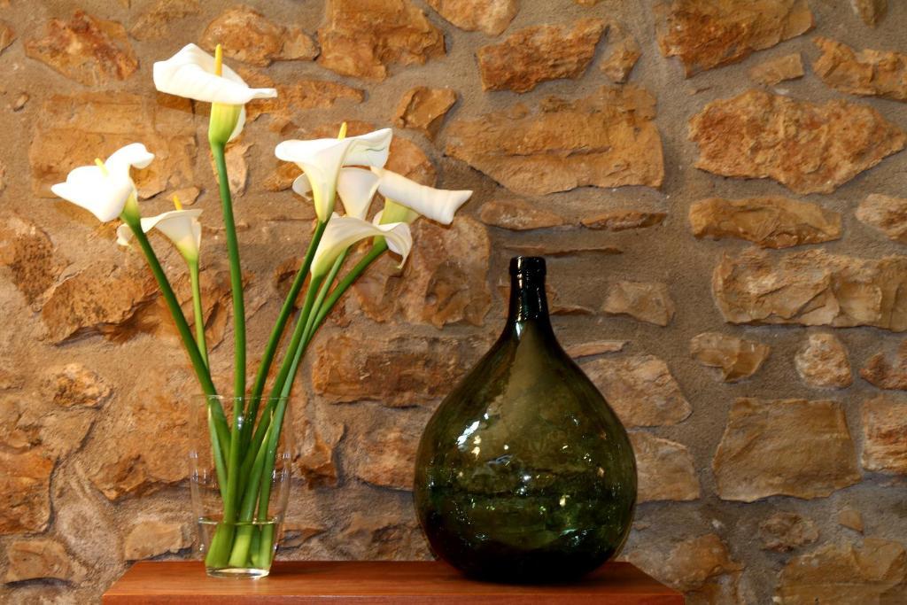 Complejo Rural Turimaestrat Pension Sant Mateu Buitenkant foto